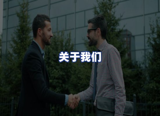 专业团队